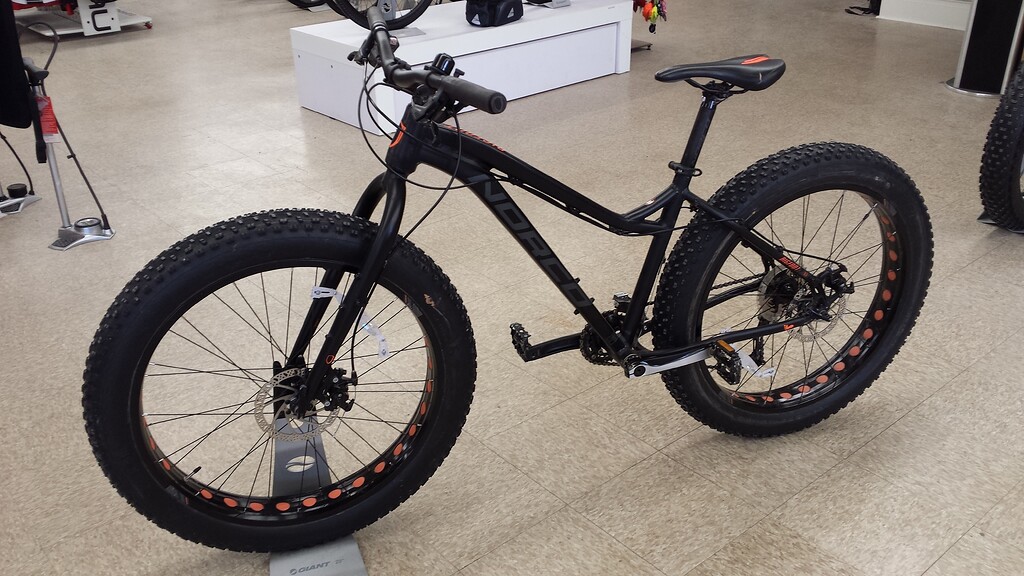 rent fat bike near me
